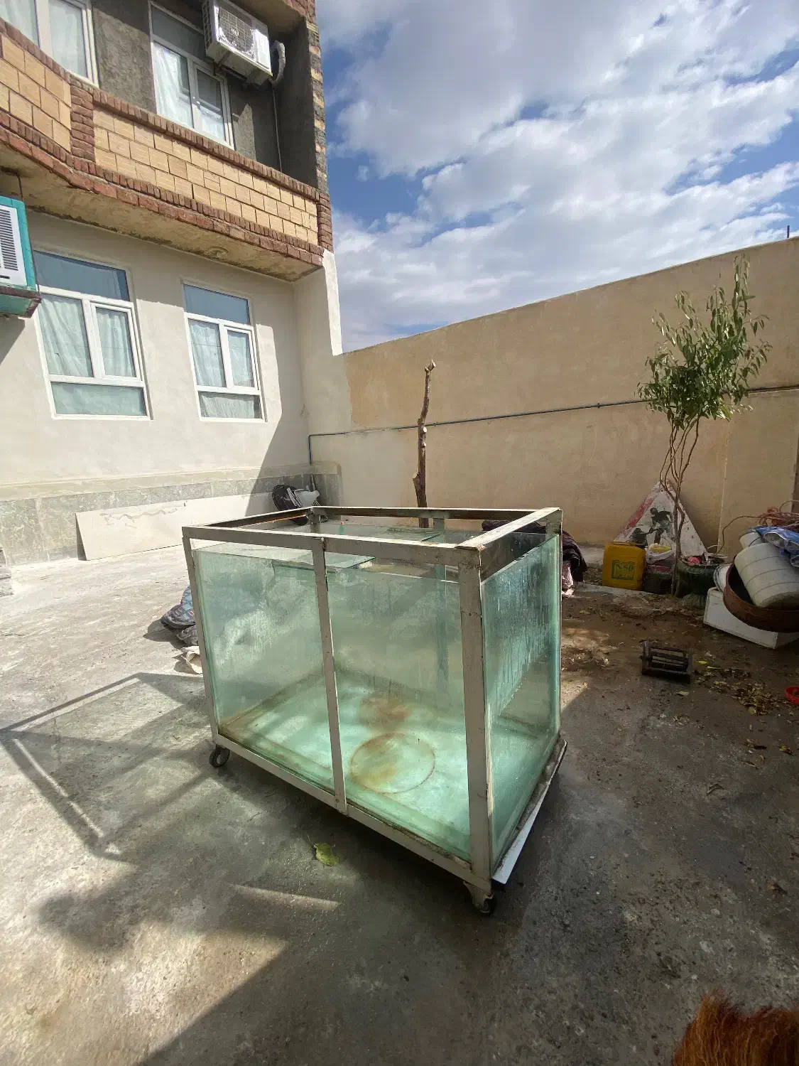 آکواریوم مناسب مغازه|فروشگاه و مغازه|عجب شیر, |دیوار