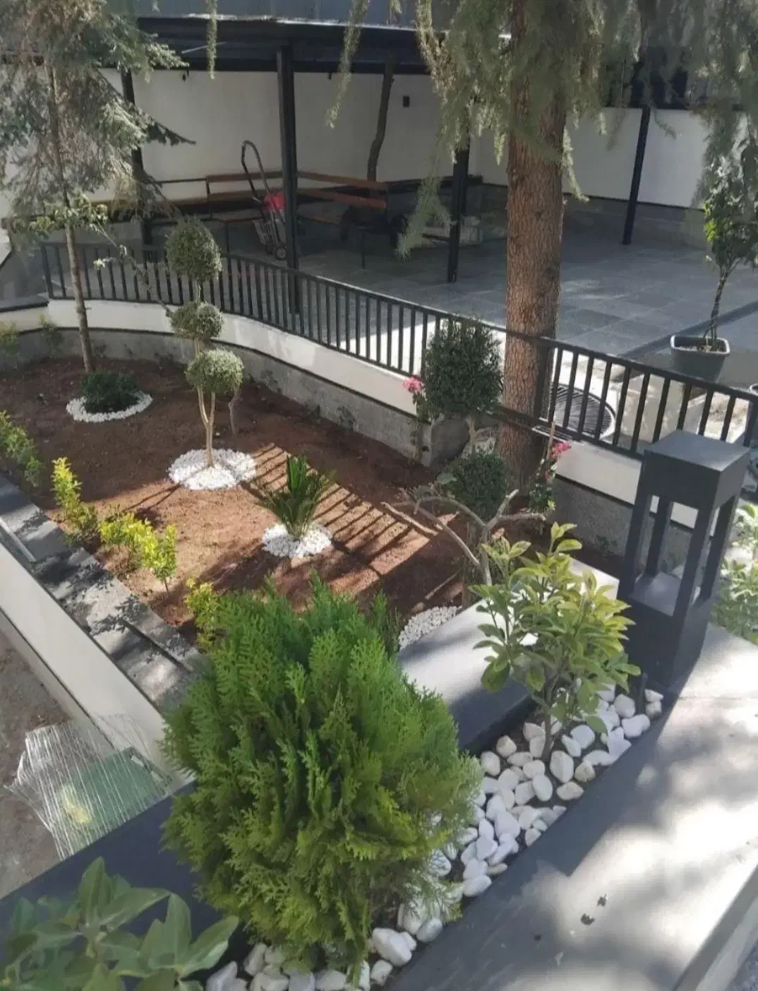 هرس وکلیه کارهای باغبانی|خدمات باغبانی و درختکاری|بندر انزلی, دهکده ساحلی|دیوار