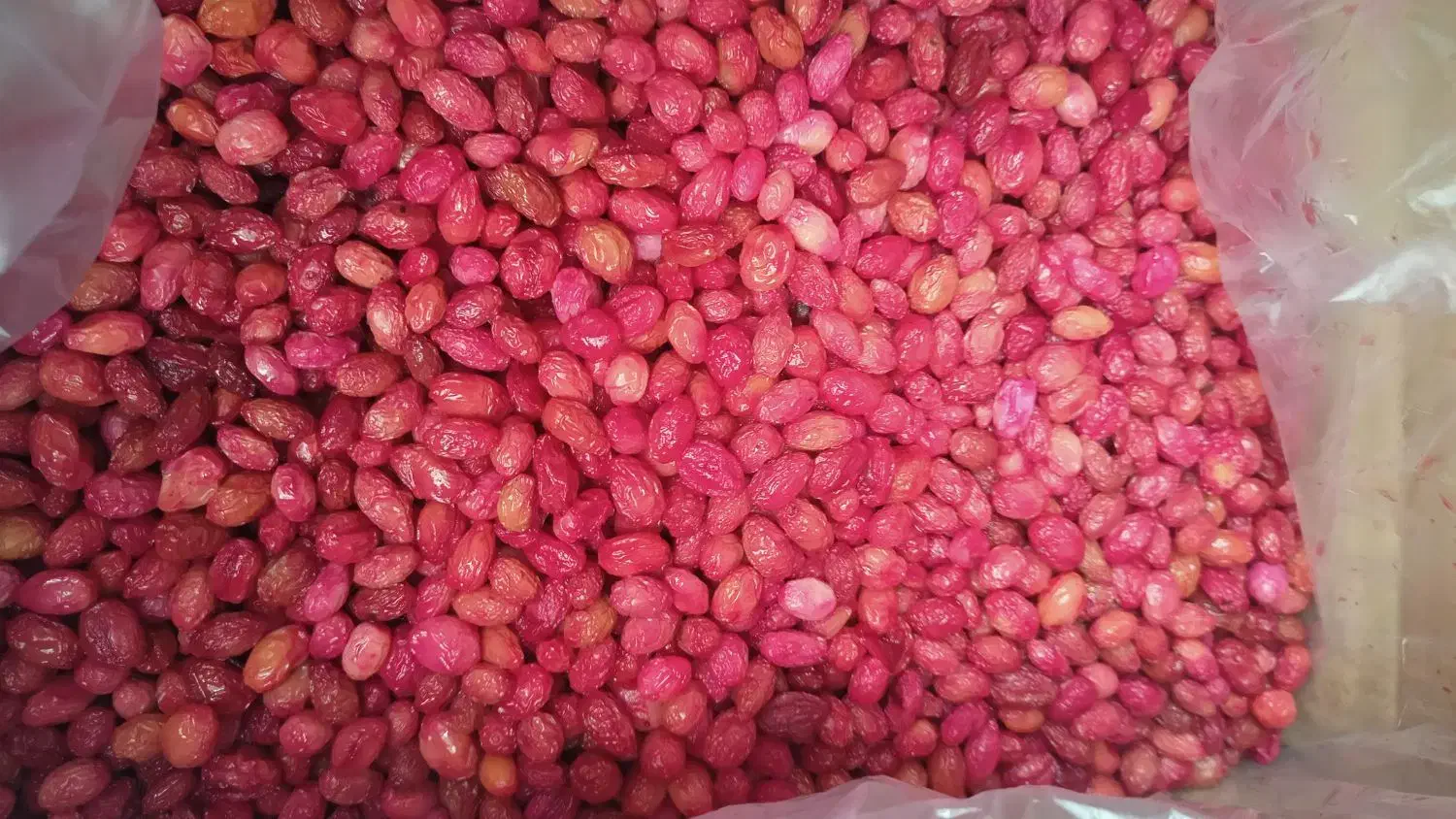 زغال اخته کارتنی|خوردنی و آشامیدنی|تهران, سازمان برنامه شمالی|دیوار