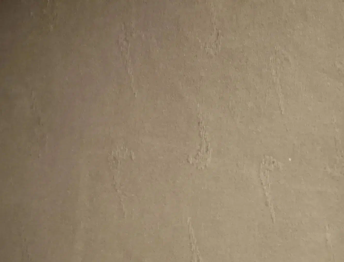 موکت ۵۰متر|موکت|اردبیل, |دیوار