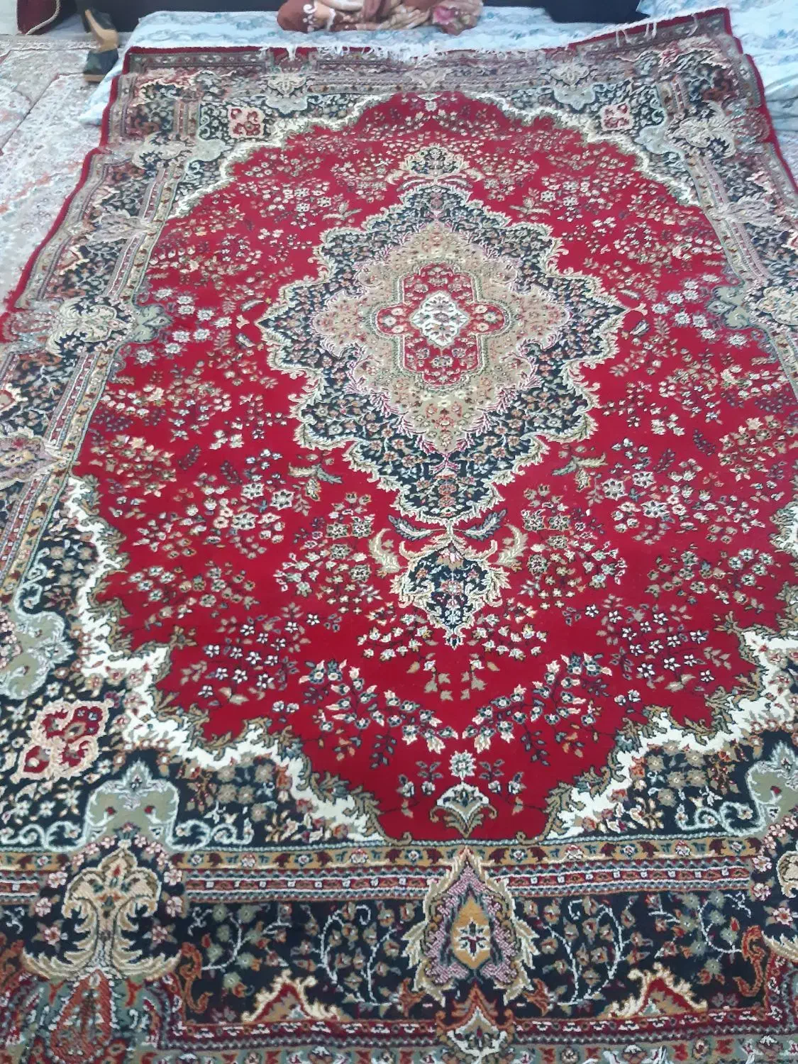 قالی ۶ متری لاکی|فرش|مشهد, موسوی قوچانی|دیوار