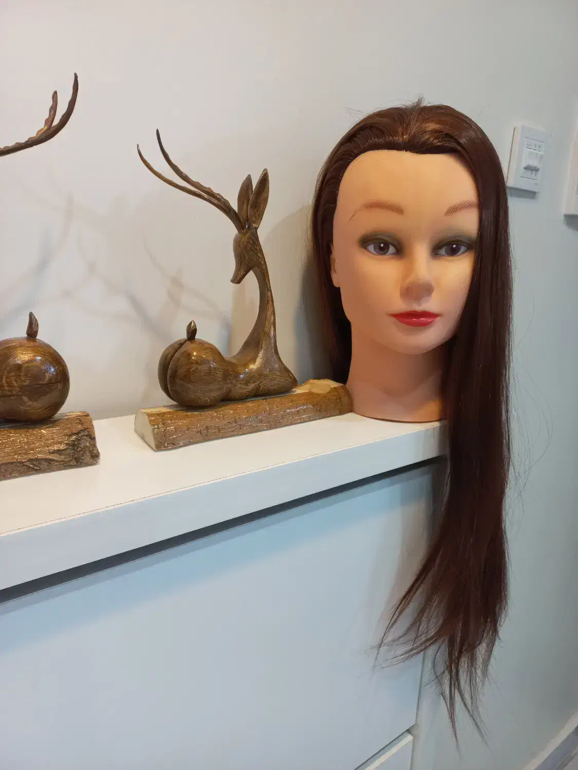 کله مانکن|آرایشی، بهداشتی، درمانی|تهران, شکوفه|دیوار