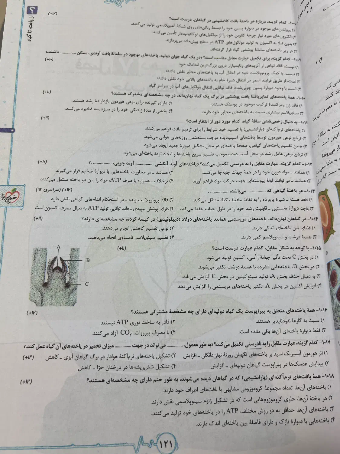 کتاب تست زیست دهم یازدهم|کتاب و مجله آموزشی|شاهینشهر, فردوسی|دیوار