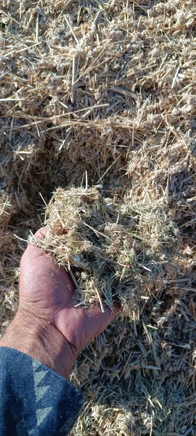 علوفه گزره|لوازم جانبی حیوانات|جوانرود, |دیوار