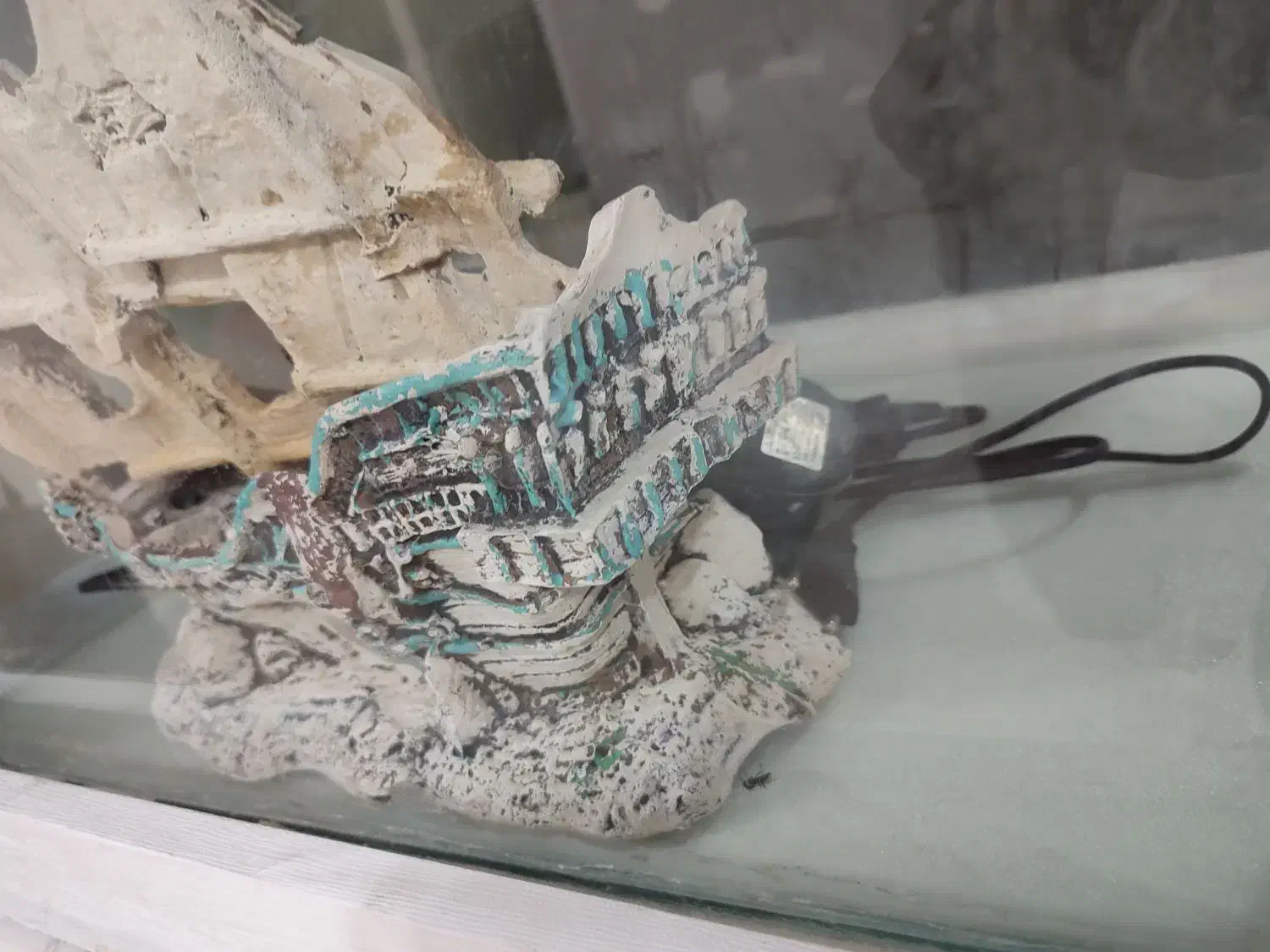 آکواریوم و تجهیزات|ماهی|بندرعباس, |دیوار