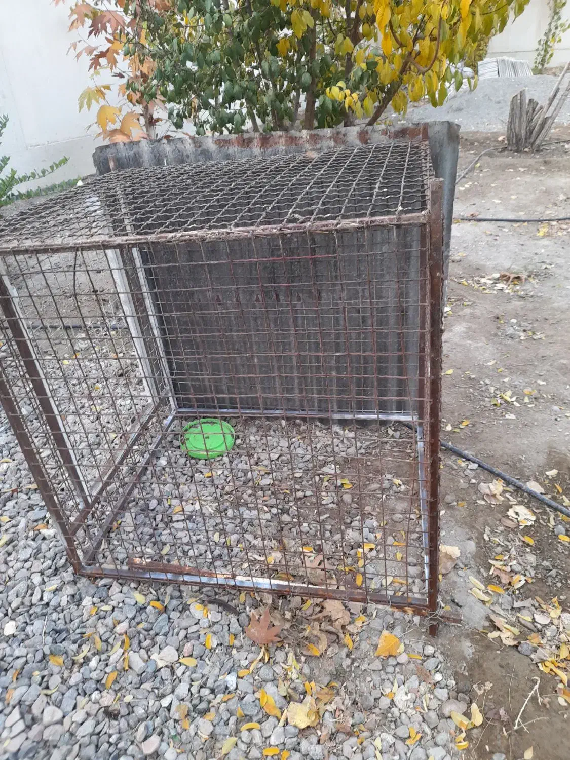 قفس اهنی|لوازم جانبی حیوانات|گلبهار, شهر جدید گلبهار|دیوار