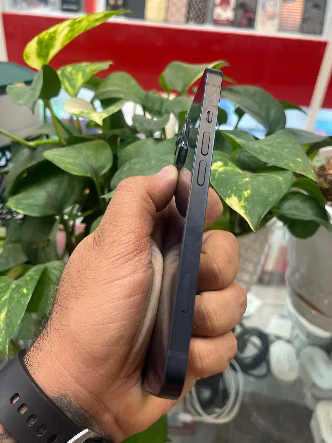 Iphone 13 cha 128G|موبایل|شیراز, زند|دیوار