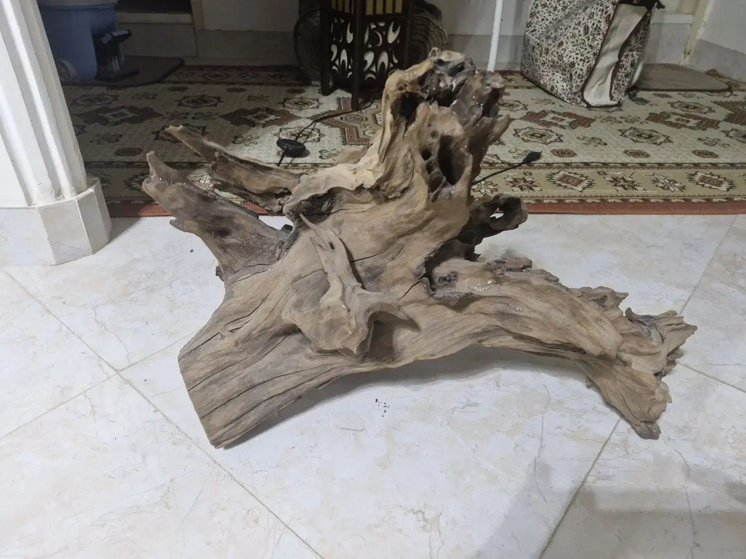 چوب آبنوس بزرگ و درجه یک مناسب دیسکس|ماهی|تهران, آذری|دیوار