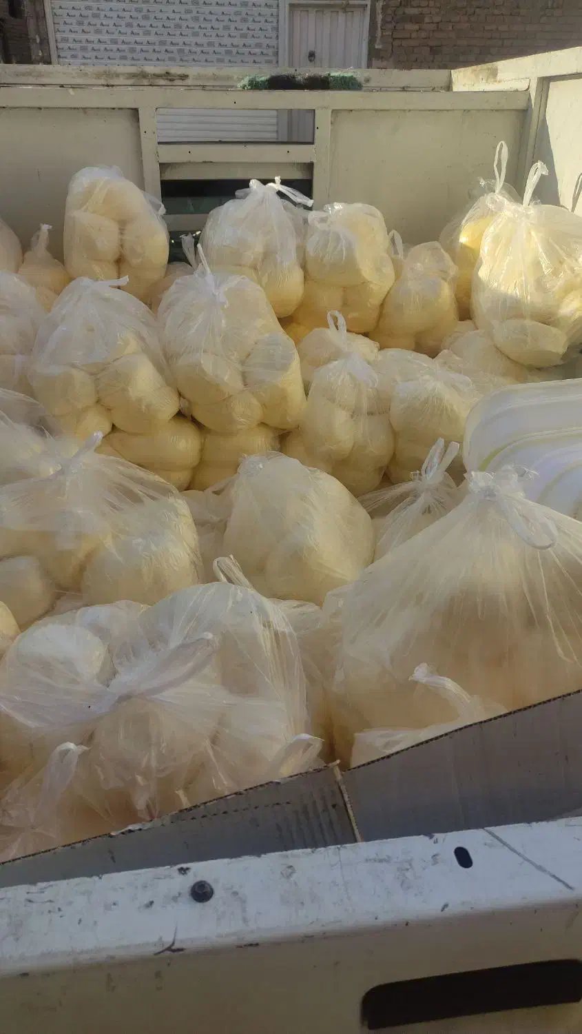 نمک کره|عمدهفروشی|میاندوآب, |دیوار