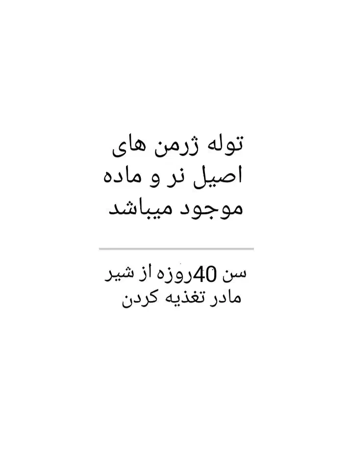 سگ ژرمن|سگ|تهران, پونک|دیوار