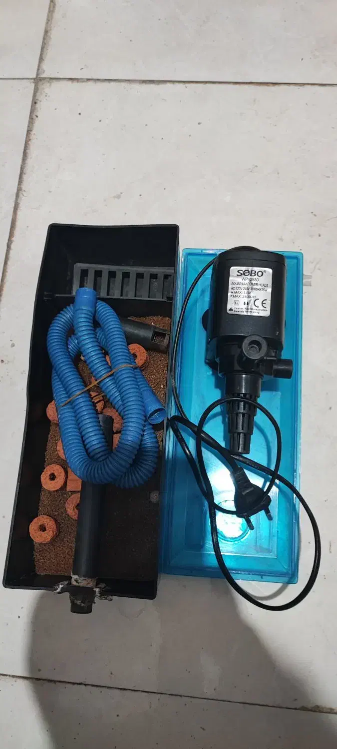 تاپ فیلتر|ماهی|شیراز, تندگویان|دیوار