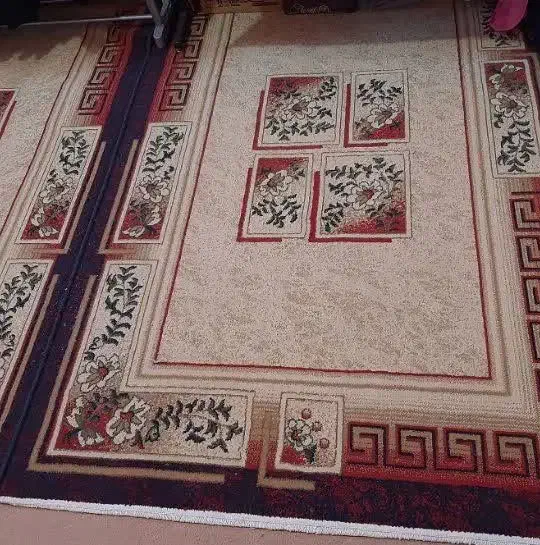 ۲عدد فرش ۴متری|فرش|قم, نخودی|دیوار