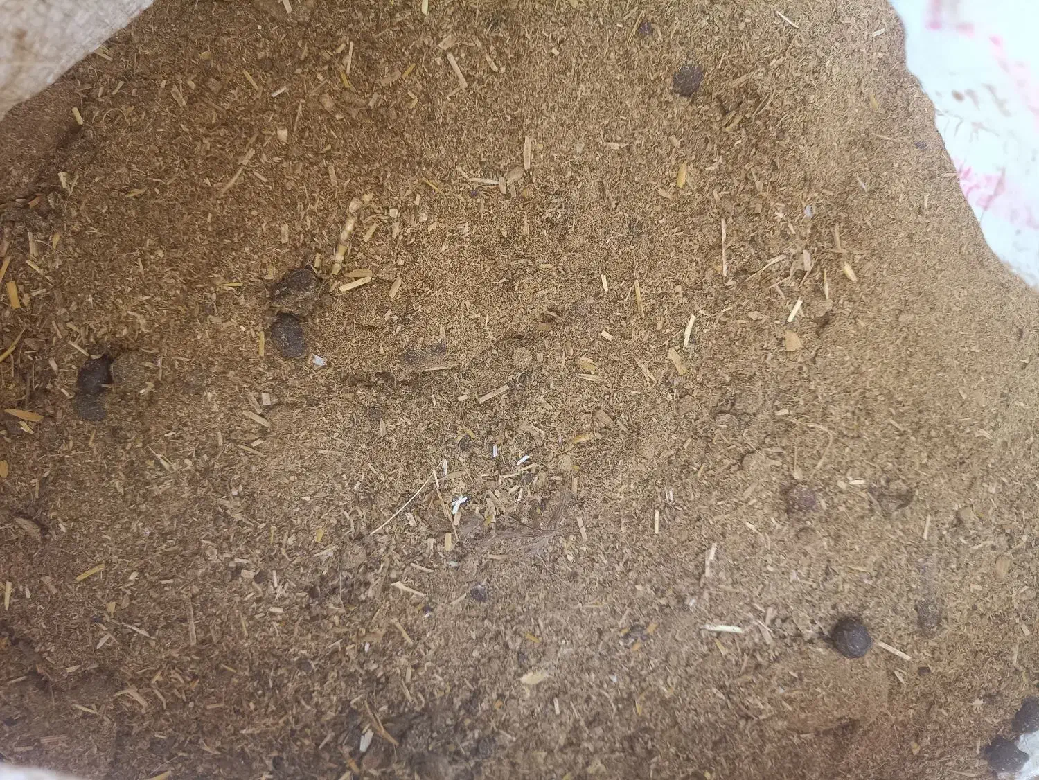 کود گوسفند|گل و گیاه طبیعی|بندر ماهشهر, |دیوار