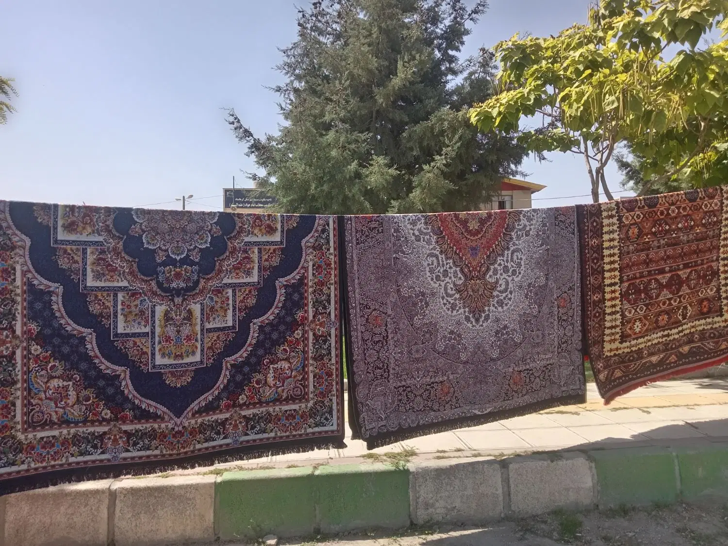 قالیچه ب قیمت تولیدی مستقیم|فرش|کرمانشاه, |دیوار