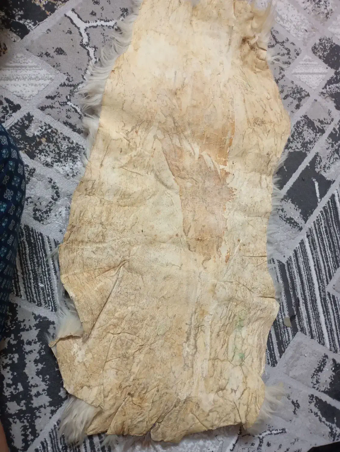 پوست دباغی گوسفند|صنایع دستی و سایر لوازم تزئینی|ری, عباسآباد|دیوار