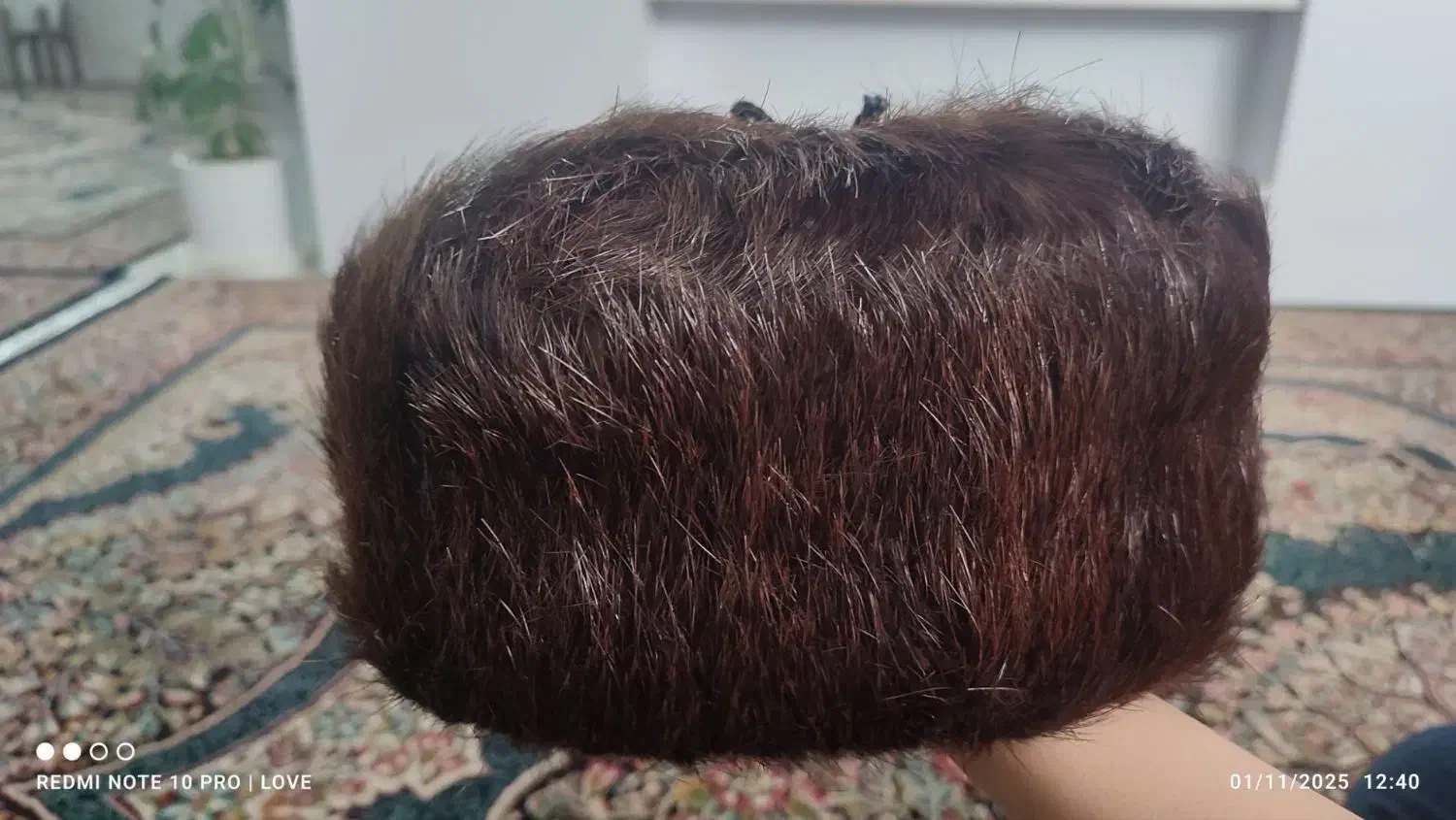 کلاه زمستانی روسی..|لباس|مشهد, مصلی (کارمندان اول)|دیوار