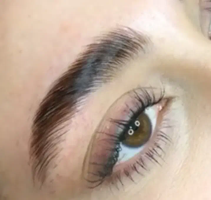 آموزش اکستنش ولیفت|خدمات آموزشی|گرگان, |دیوار