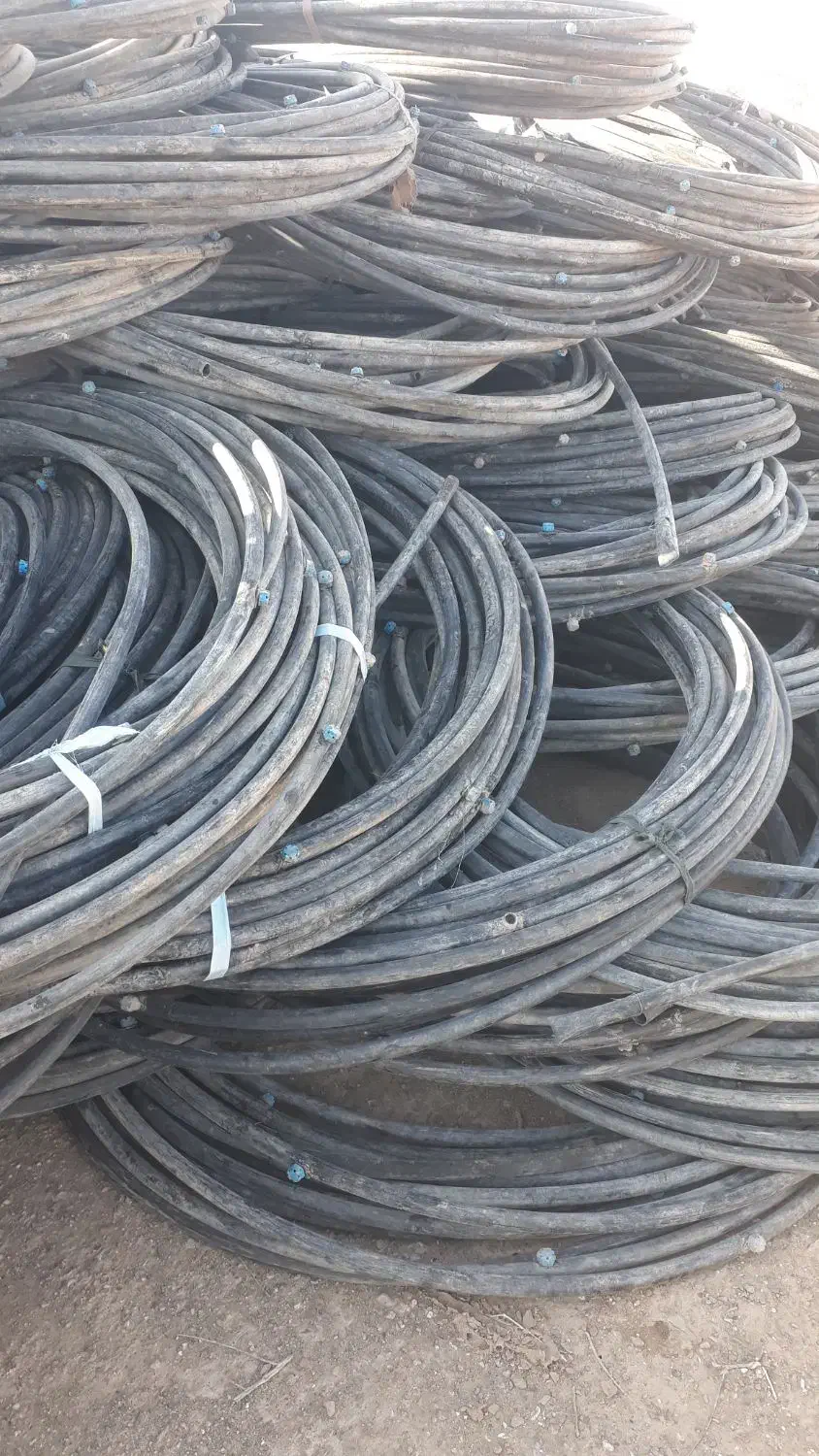 کشاورزی|عمدهفروشی|کورین, |دیوار