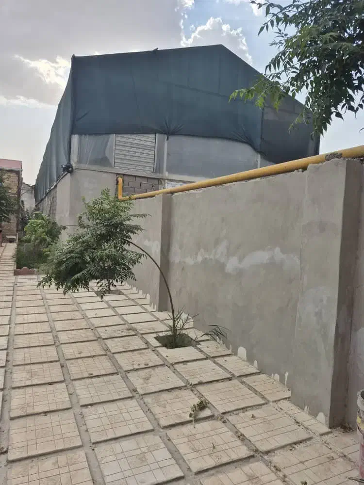 گلخانه|فروش دفتر صنعتی، کشاورزی، تجاری|پاکدشت, پاکدشت (مامازند)|دیوار