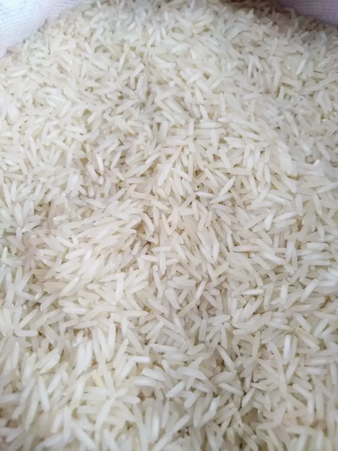 برنج پاکستانی دانه بلند غزال صورتی( 10gk)|خوردنی و آشامیدنی|مشهد, رسالت|دیوار