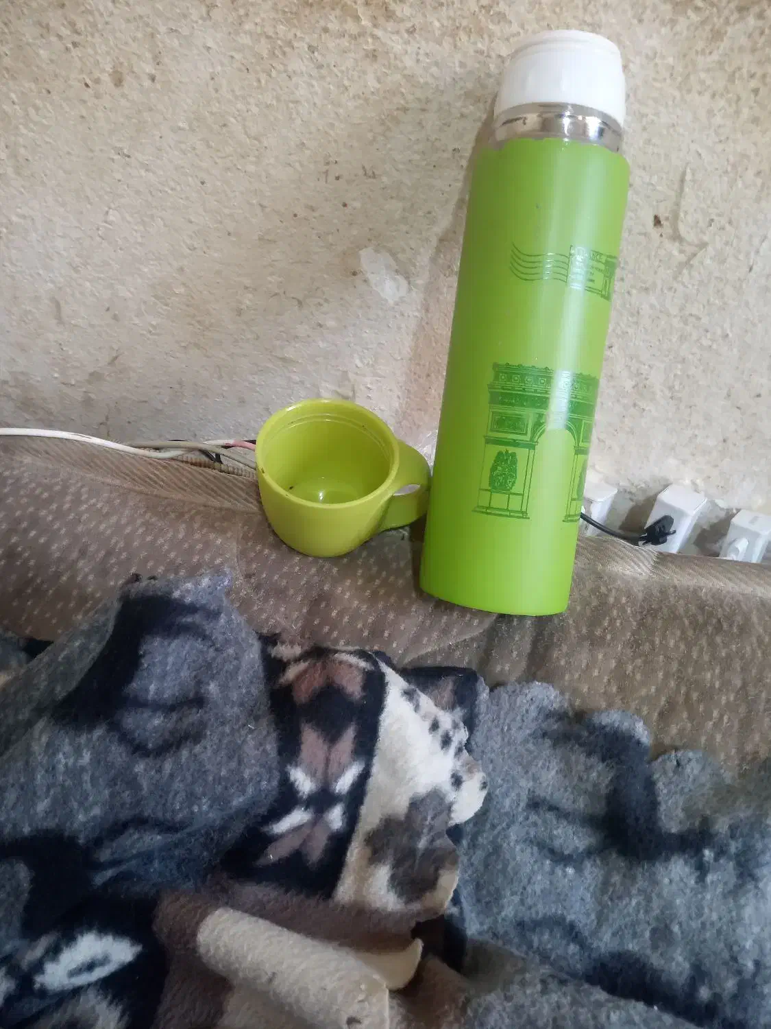 فلاکس چای لیوان دار سالمه سالم|قوری، کتری، قهوه‌ساز دستی|رشت, جماران|دیوار