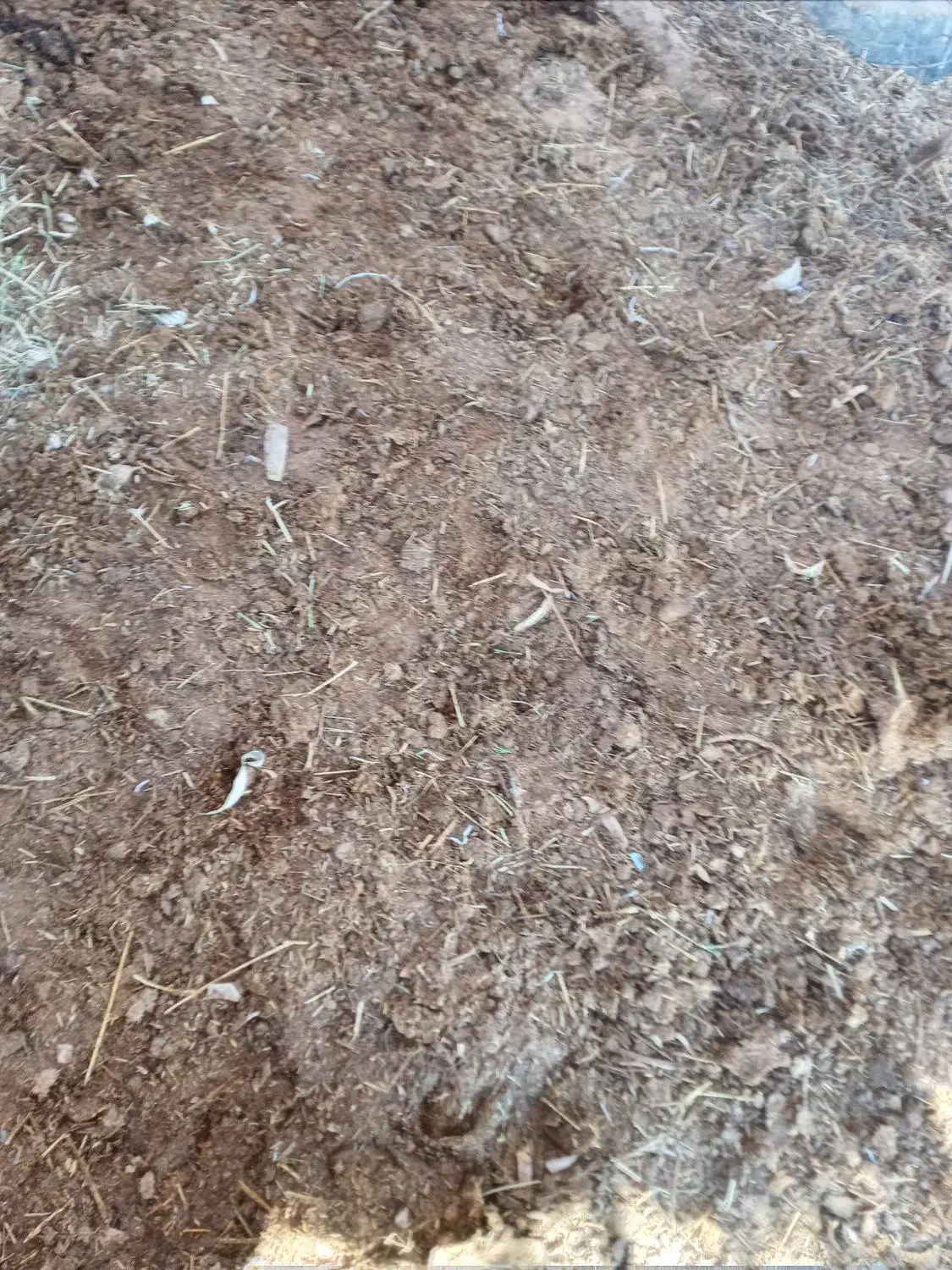 کود درجه یک گاوی و گوسفند هر مقدار بخواهید|خدمات باغبانی و درختکاری|سیرجان, |دیوار