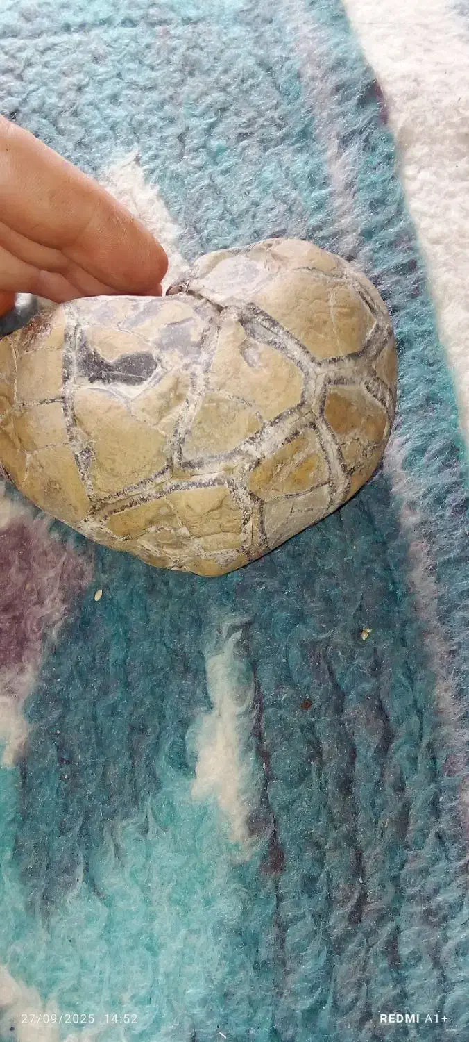 سنگ زینتی|جواهرات|آشخانه, |دیوار