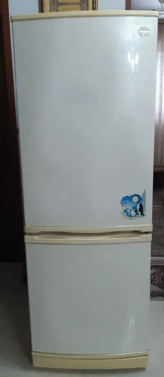 یخچال|یخچال و فریزر|بندر انزلی, لاله|دیوار