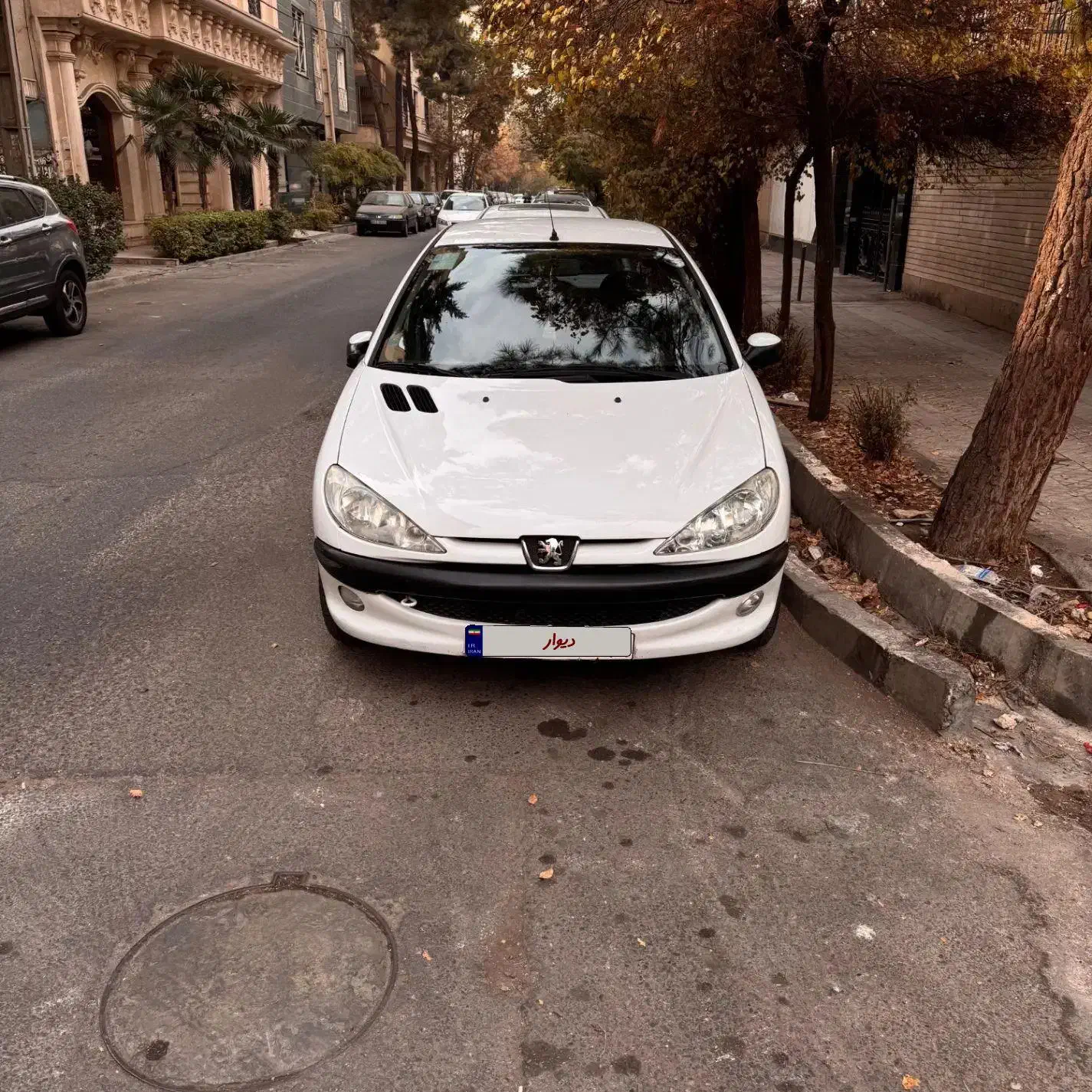 پژو ۲۰۶ تیپ ۲|خودرو سواری و وانت|تهران, پاسداران|دیوار