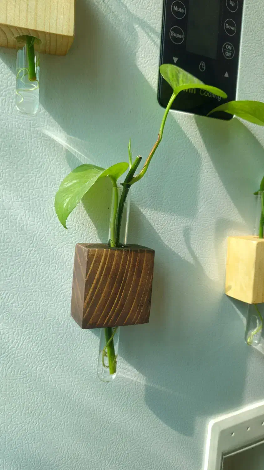 گلدان مگنتی درب یخچال|صنایع دستی و سایر لوازم تزئینی|دزفول, |دیوار