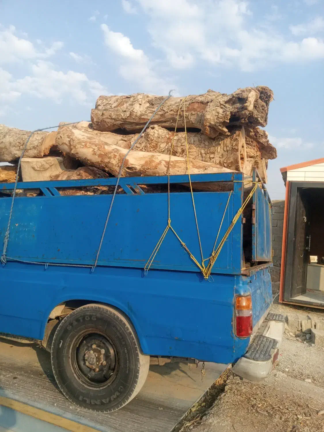 خرید چوب|خدمات باغبانی و درختکاری|کرج, کمال‌شهر|دیوار