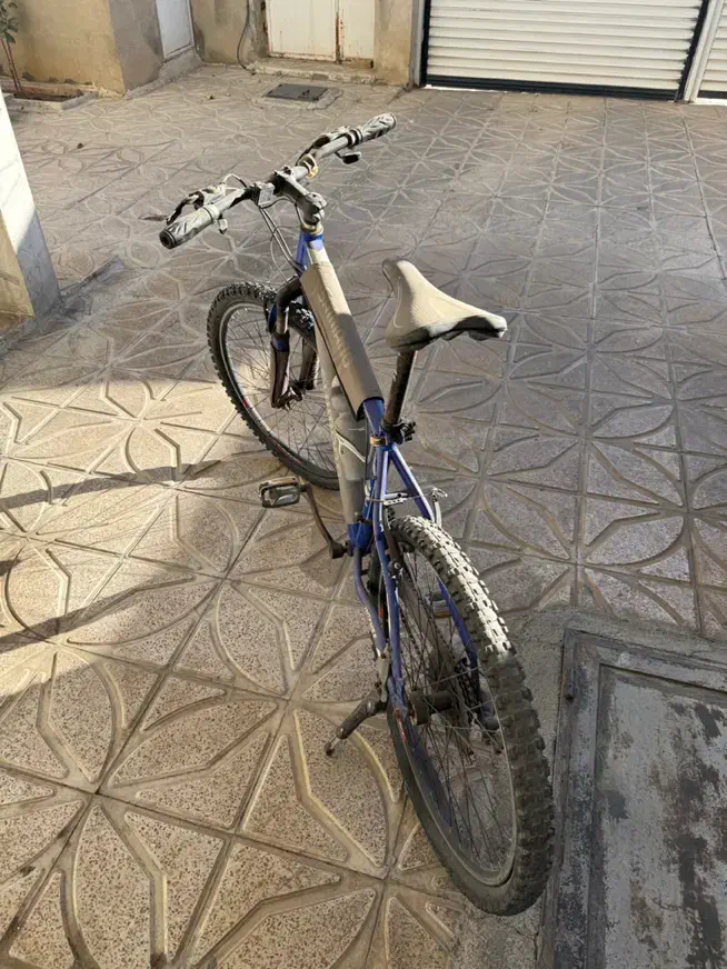 دوچرخه ۲۶|دوچرخه، اسکیت، اسکوتر|بانه, |دیوار