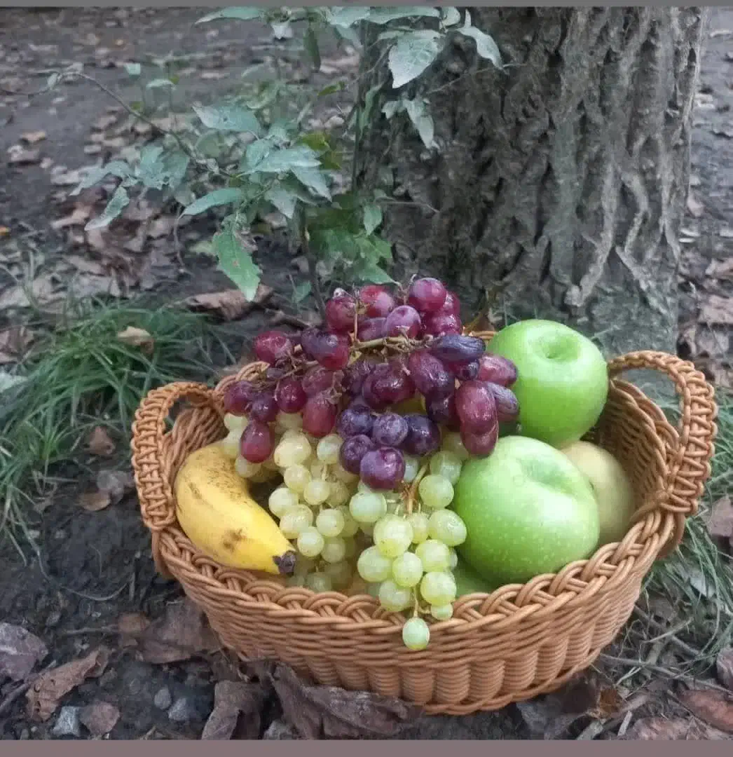 بافت انواع سبد|ظروف نگهدارنده، پلاستیکی، یک‌بارمصرف|خرم‌آباد, |دیوار