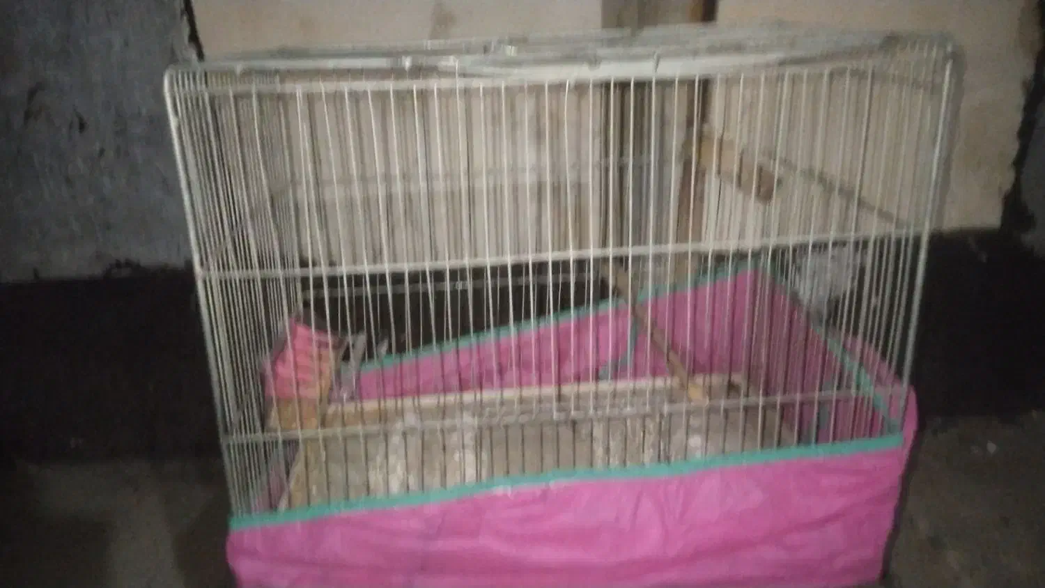 قفس نو|لوازم جانبی حیوانات|بیجار, |دیوار