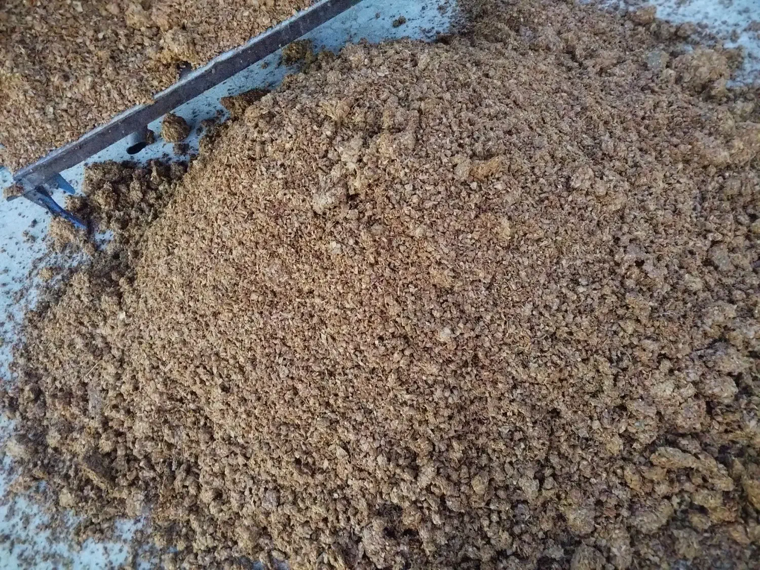 تفاله سیب و تفاله چغندر قند|لوازم جانبی حیوانات|فیروزآباد (آذربایجان), |دیوار