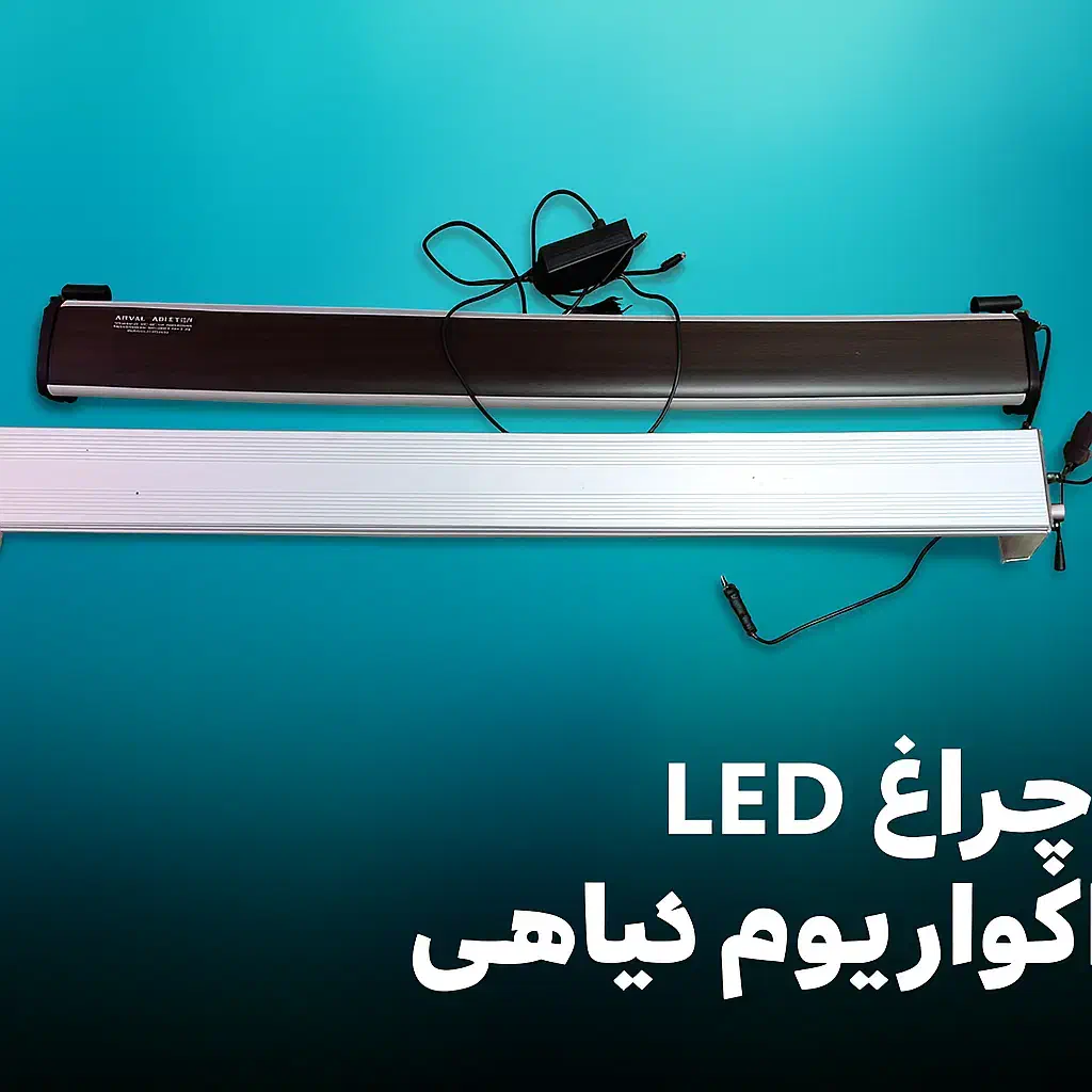 نور مخصوص پلنت|ماهی|بهبهان, |دیوار