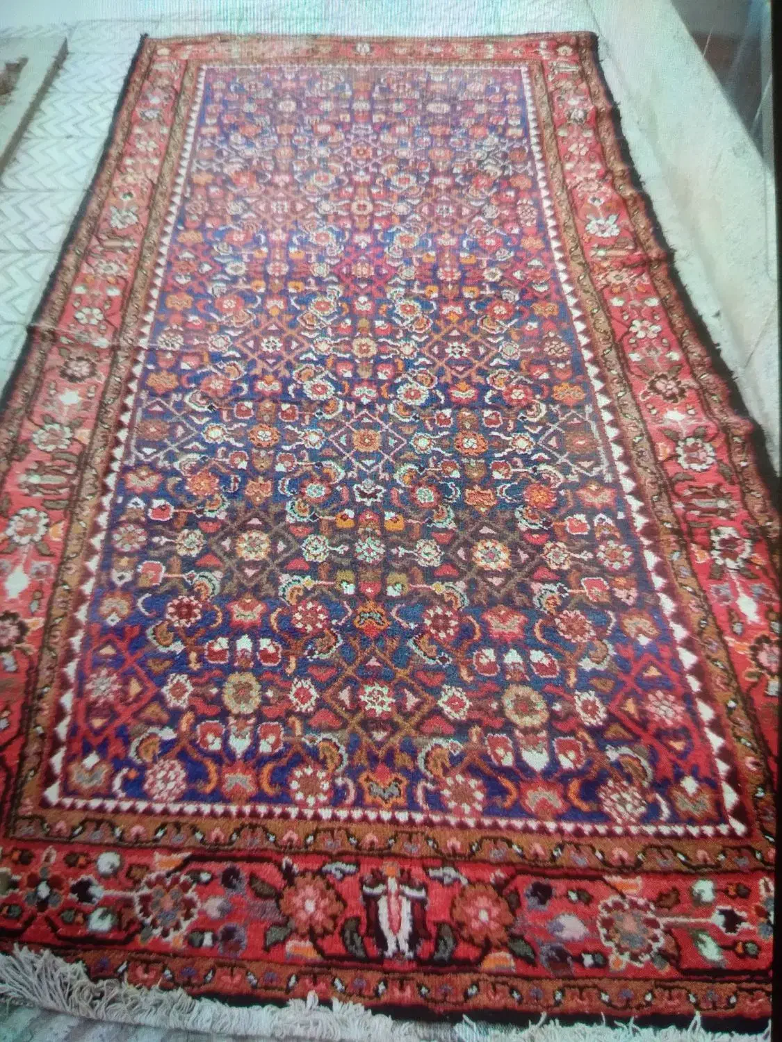 فرش دستباف گوشت دار اراک|فرش|همدان, |دیوار