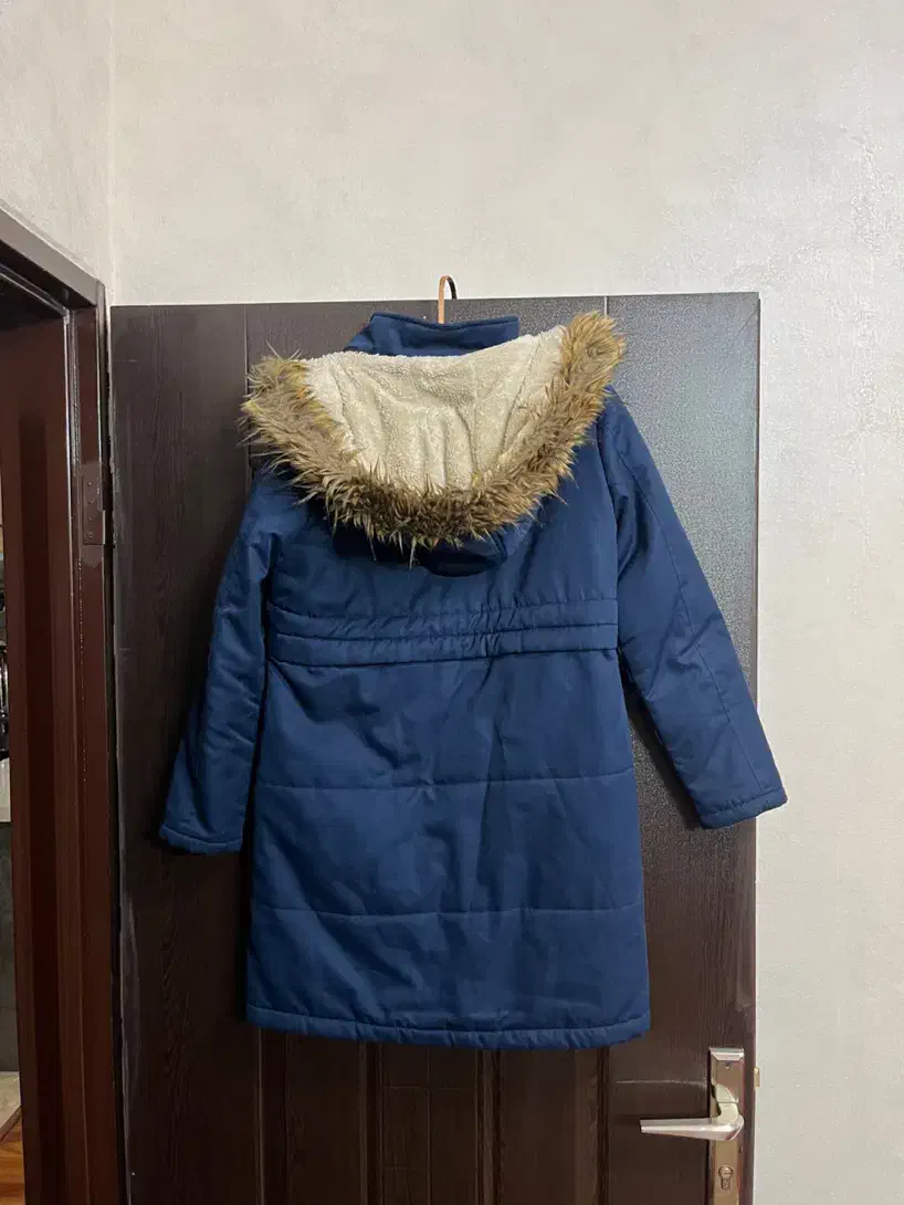 پالتو خارجی کاملا نو|لباس|شیراز, شهرک گلستان|دیوار