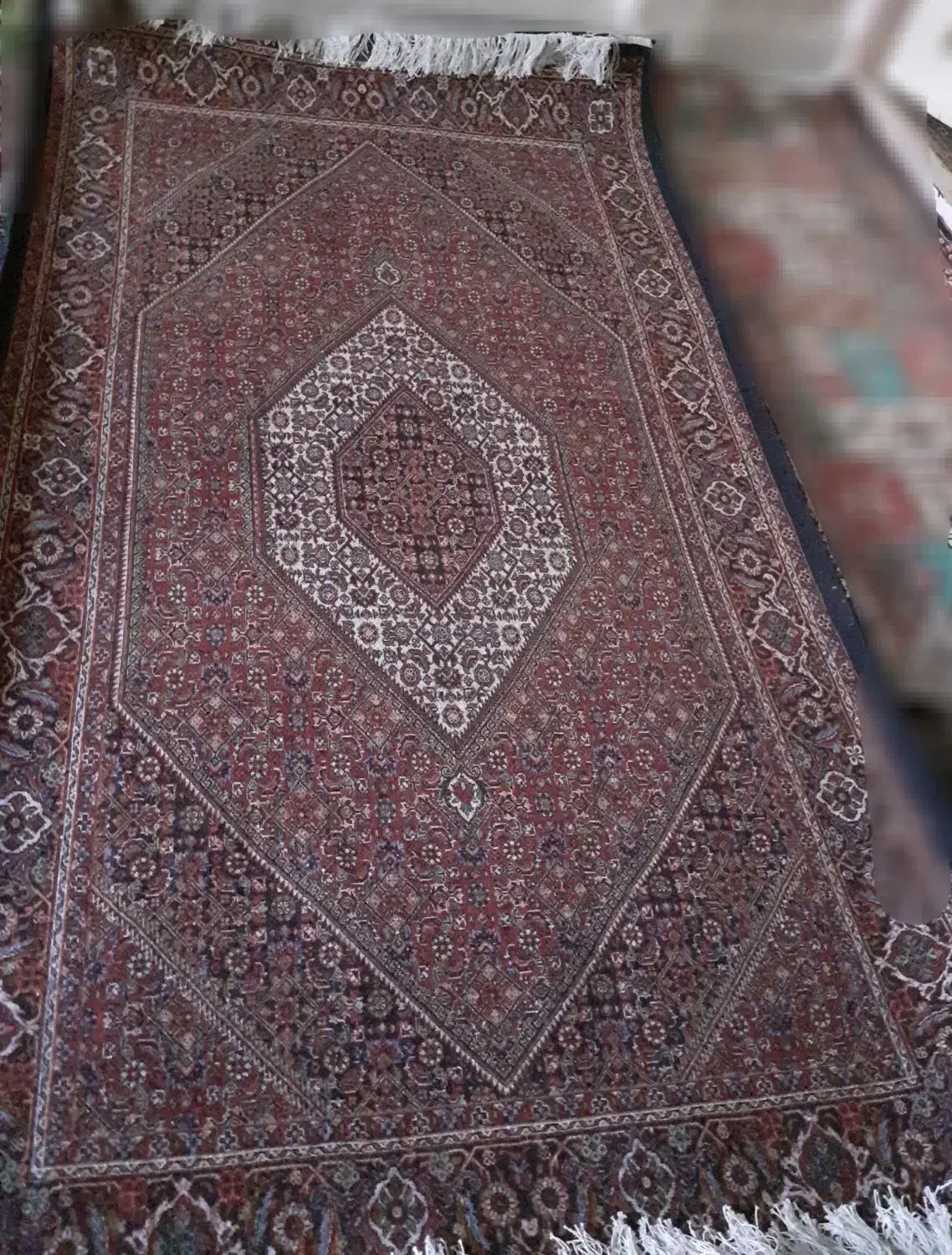 فرش دستبافت|فرش|زنجان, |دیوار