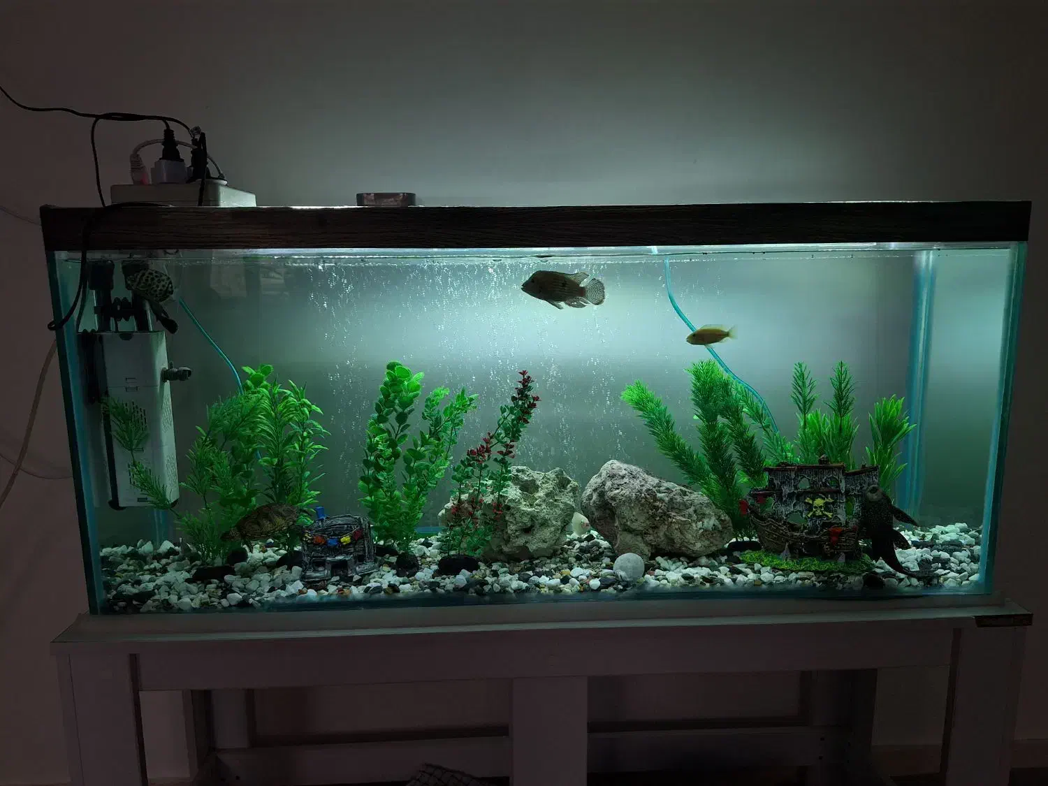 آکواریوم، معاوضه با وسایل پیشنهادی شما.|ماهی|عسلویه, |دیوار