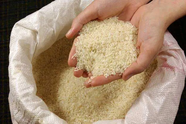 برنج طارم و سرلاشه هاشمی(مستقیم از کشاورز)|خوردنی و آشامیدنی|تهران, بروجردی|دیوار