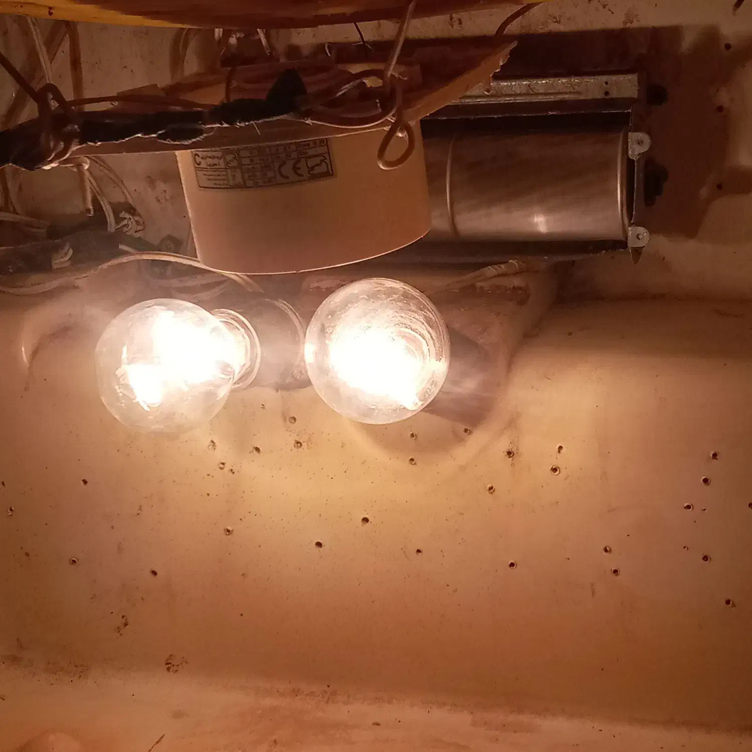 دستگاه جوجه کشی|لوازم جانبی حیوانات|گنبد کاووس, |دیوار