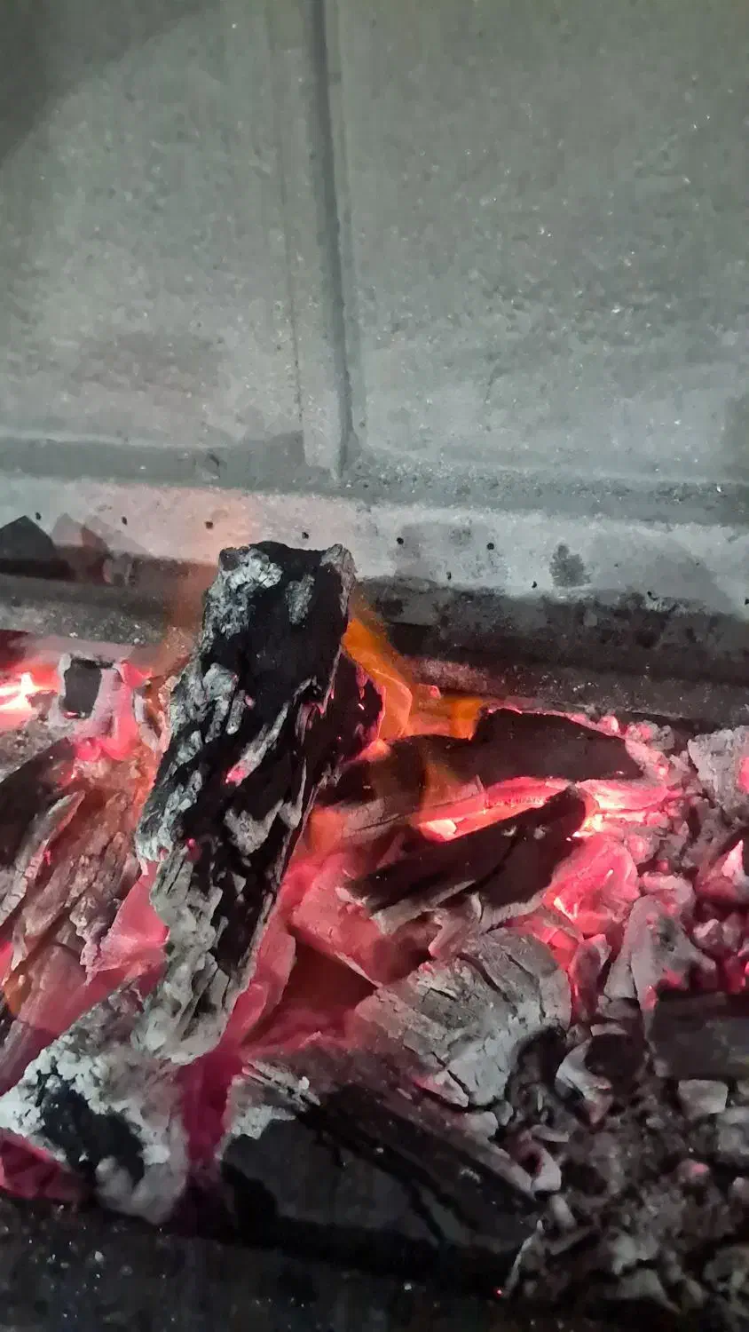 زغال|عمدهفروشی|بیرجند, |دیوار