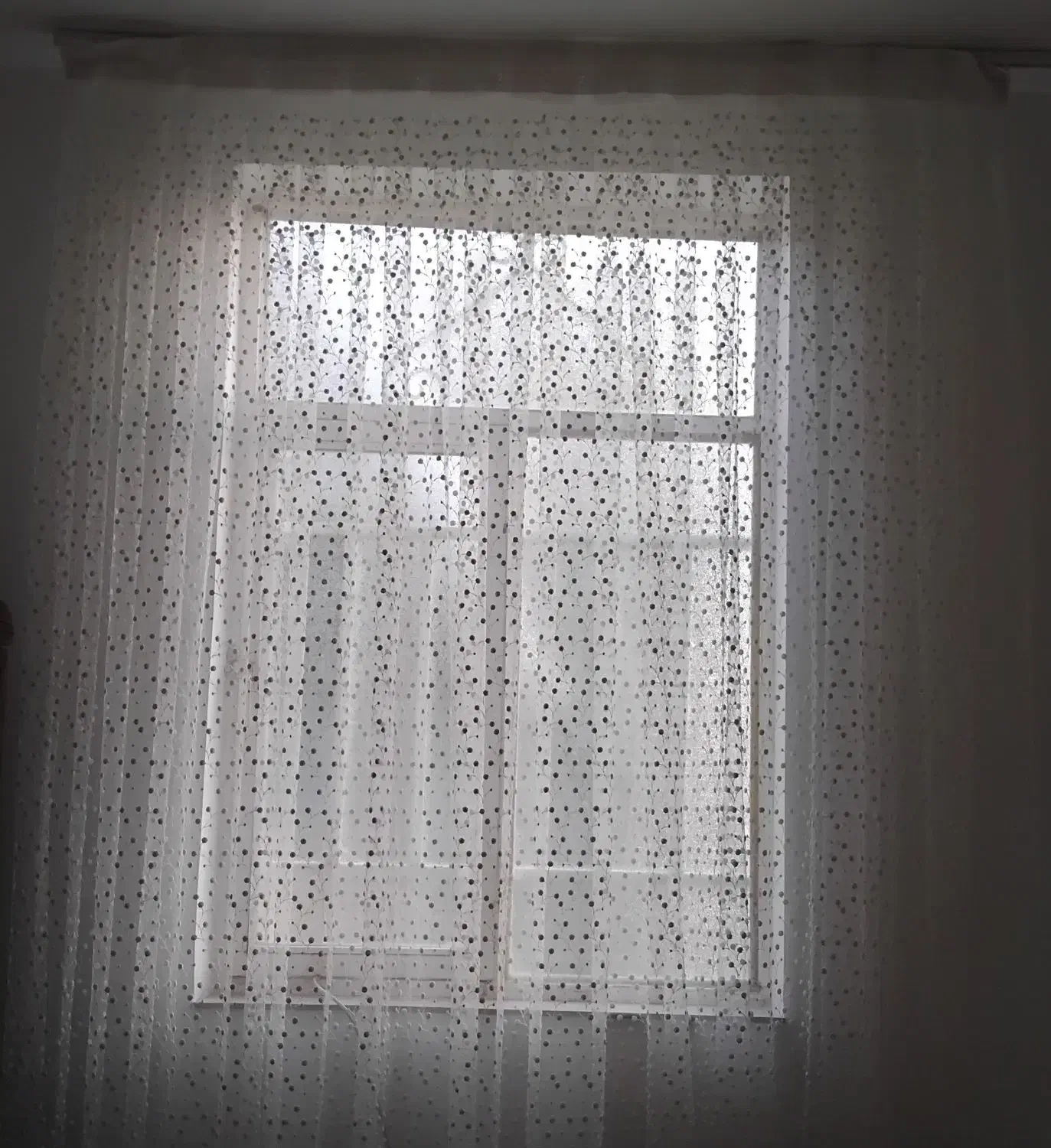 پرده|پرده، رانر، رومیزی|ارومیه, |دیوار