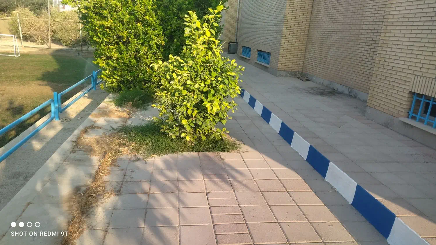 رنگ امیزی ساختمان|خدمات پیشه و مهارت|بندر کنگان, |دیوار