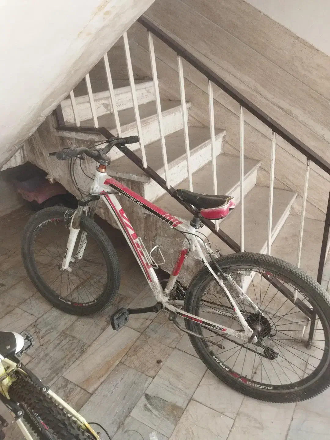 دوچرخه viva تایوان|دوچرخه، اسکیت، اسکوتر|محلات, |دیوار