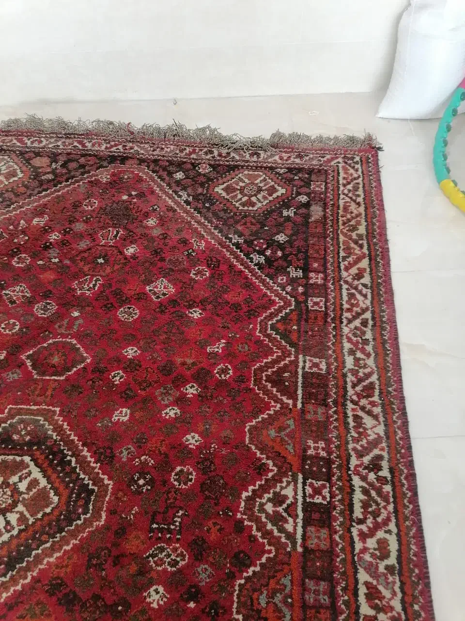 فرش دستباف ترکی|فرش|شیراز, کفترک|دیوار