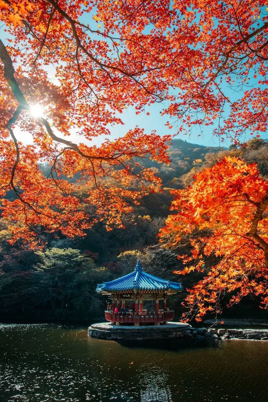 تور گروهی سواد کوه شمال 25 آذر|تور و چارتر|اردکان, |دیوار