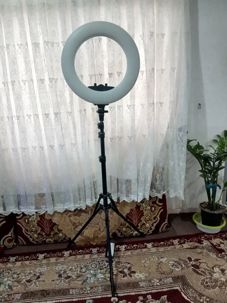 رینگ لایت|دوربین عکاسی و فیلم‌برداری|کرمانشاه, |دیوار