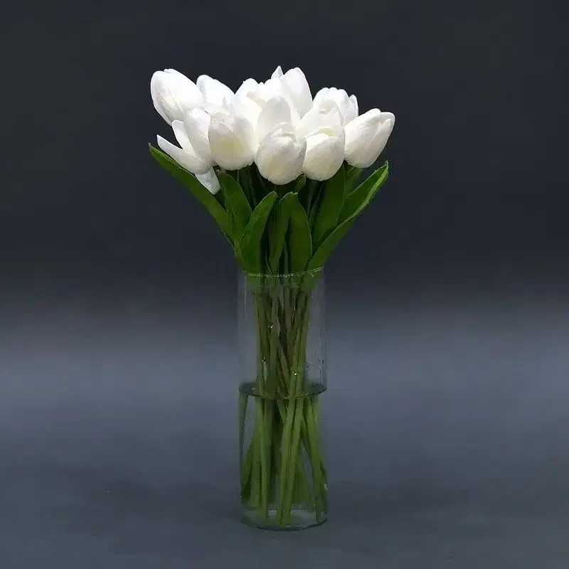 نیاز به پرستار خانم جهت نگهداری سالمند خانم|استخدام درمانی، زیبایی، بهداشتی|تنکابن, |دیوار